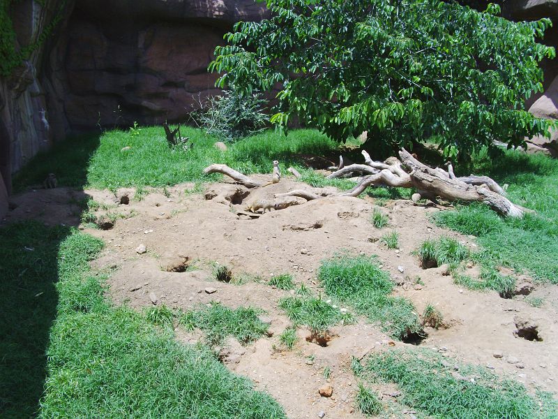 PICT0092.JPG