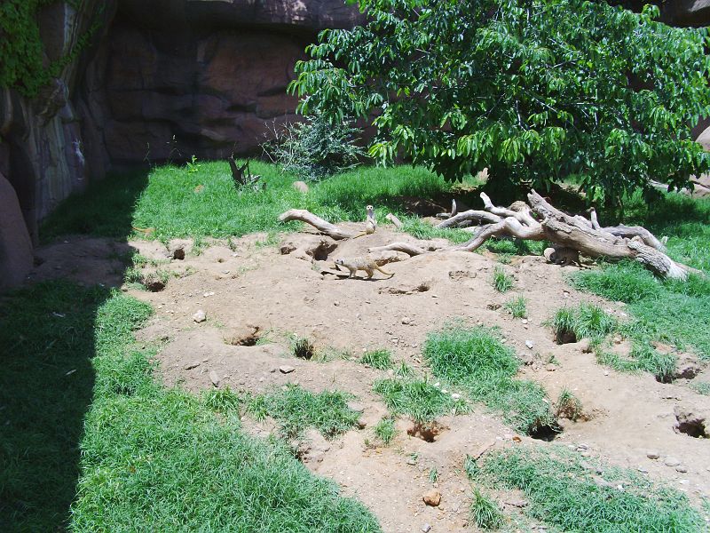PICT0093.JPG