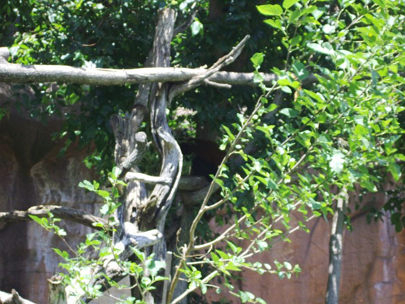 PICT0094.JPG