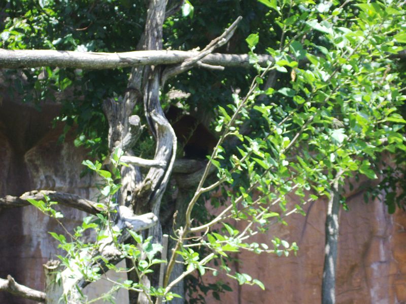 PICT0095.JPG