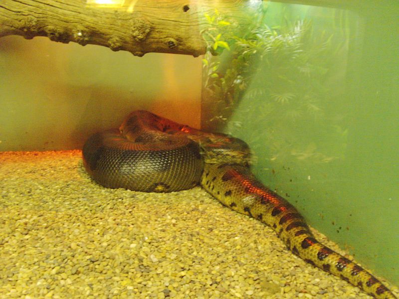PICT0096.JPG