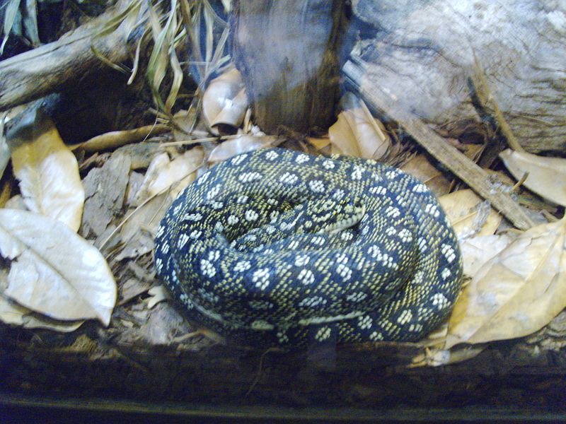 PICT0097.JPG