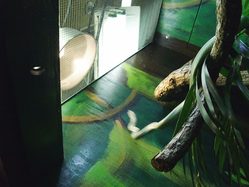 PICT0098.JPG