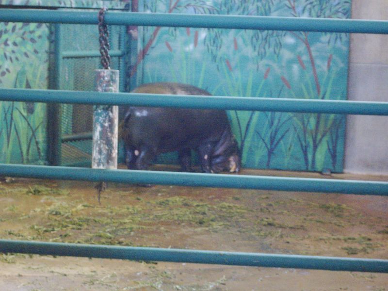 PICT0100.JPG